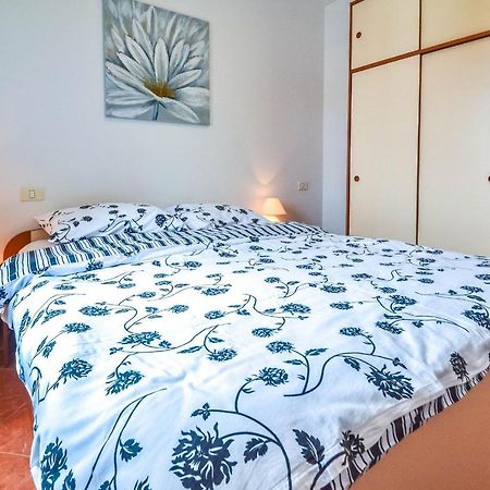 Moreri Garden Novigrad Istria Dış mekan fotoğraf